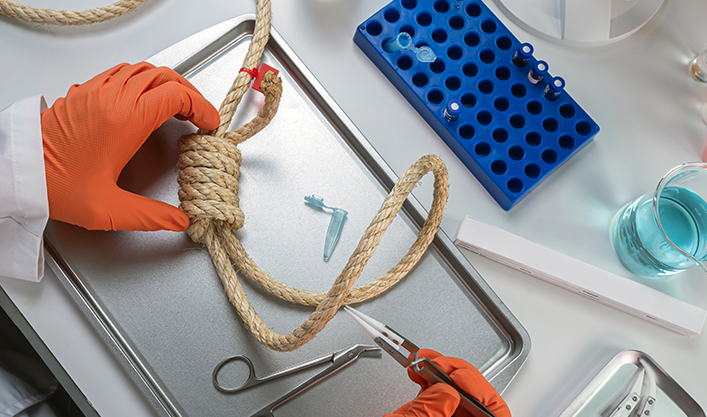 Компания Jiangsu Haifeng Rope Technology Co., Ltd.